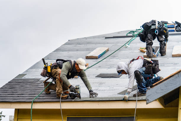 Professional Gutter Installation technician working in Springfield, FL